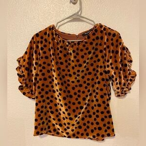 Madewell Velvet Polkadot Top Size XS